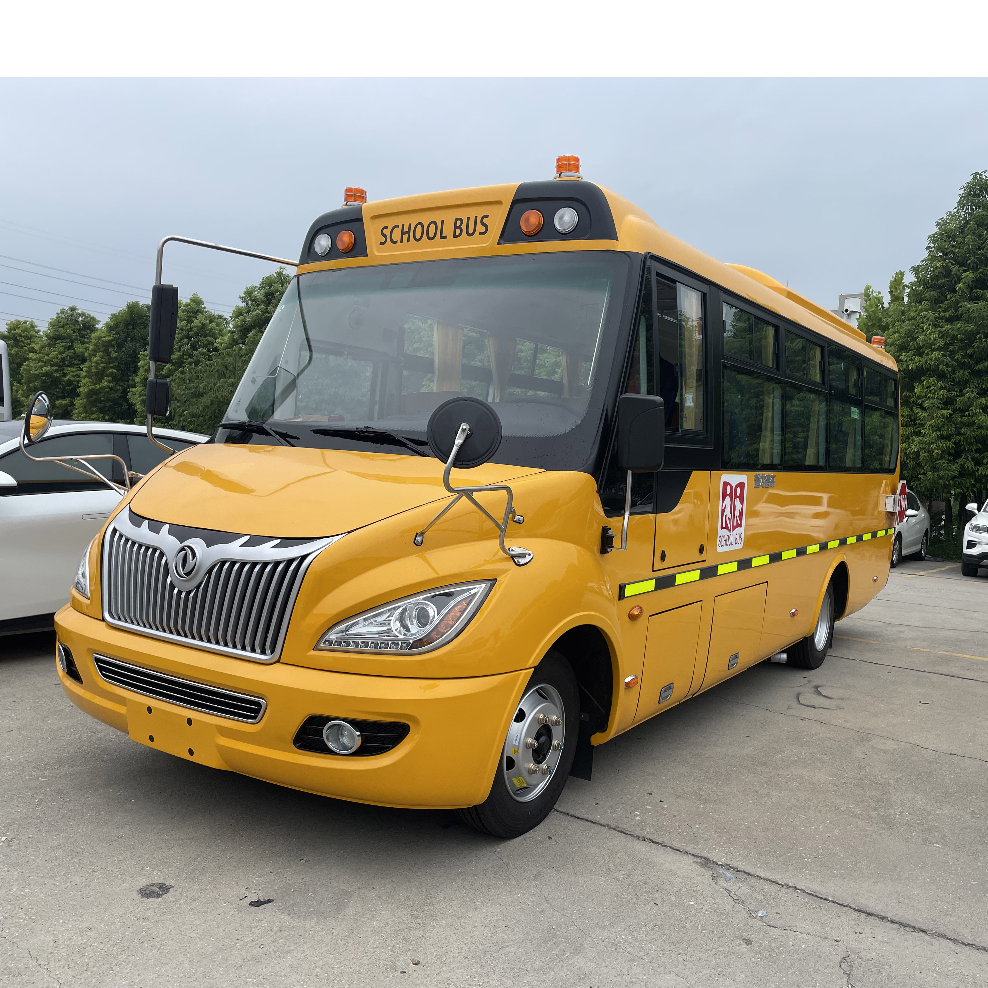 Dongfeng 4x2 Diesel Euro 3 Emission 41 Seats New School Bus for Primary School Students Transportation